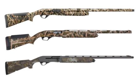 8 of the Best Duck Hunting Shotguns for This Season
