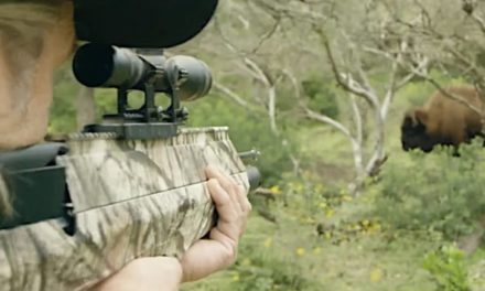 Pros and Cons: Airbow for Hunting in the US