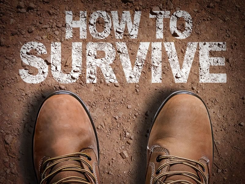 How To Survive