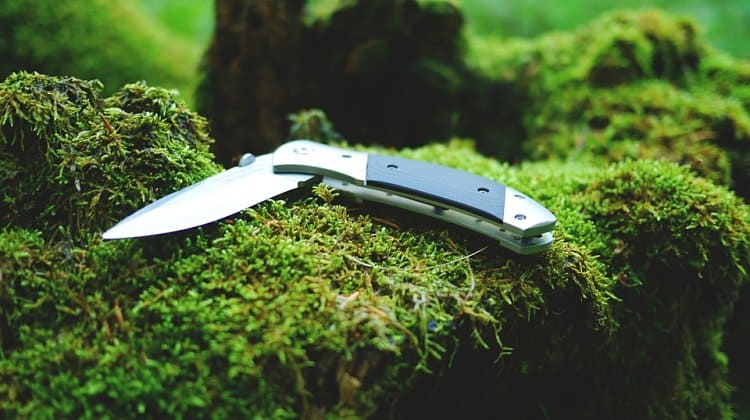 10 Good-Looking Folding Hunting Knives Every Hunter Should Appreciate