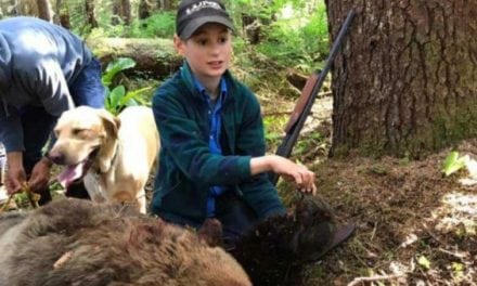 11-Year-Old Boy Saves Family by Killing Charging Brown Bear with Shotgun