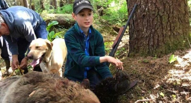 11-Year-Old Boy Saves Family by Killing Charging Brown Bear with Shotgun