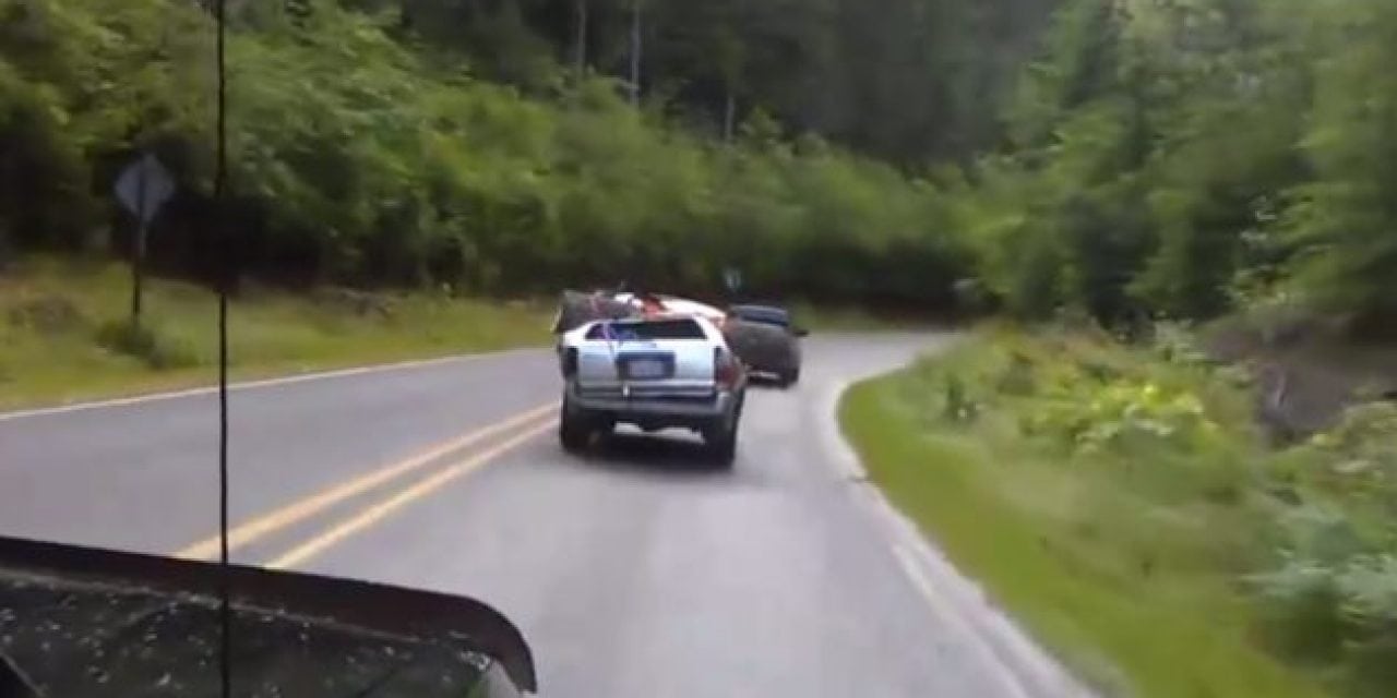 4Runner Crushed By a Tree, Keeps On Truckin’