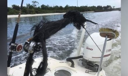 Anglers Lucky to be Alive After a Fishing Pole Got Struck by Lightning