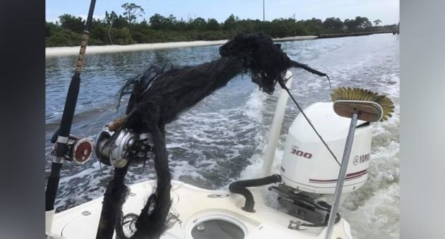Anglers Lucky to be Alive After a Fishing Pole Got Struck by Lightning