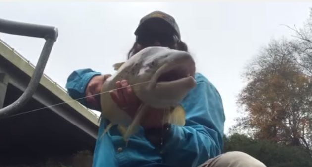 Atlanta Quality Hooch: Brown Trout on the Chattahoochee River