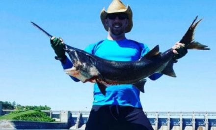 Bowfishing for Paddlefish Blends Hunting and Fishing