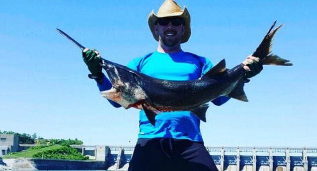 Bowfishing for Paddlefish Blends Hunting and Fishing