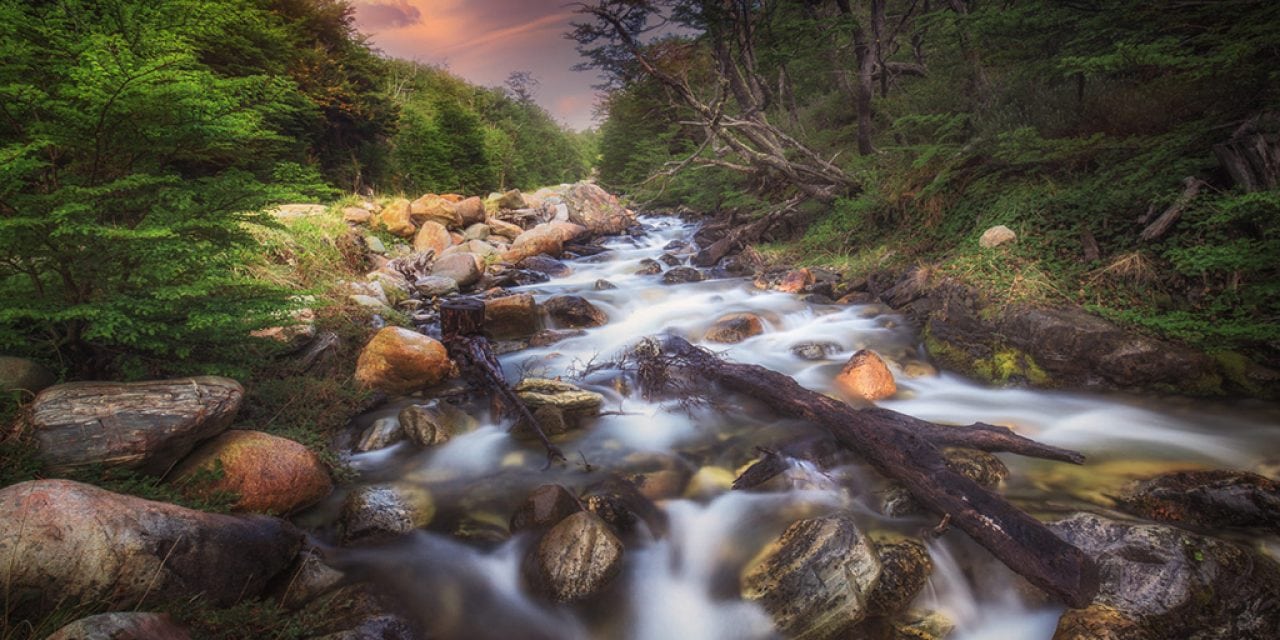 Brooks, Streams & Rivers Assignment Winner Luiz Carlos Junior