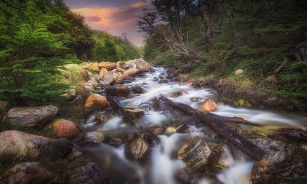 Brooks, Streams & Rivers Assignment Winner Luiz Carlos Junior