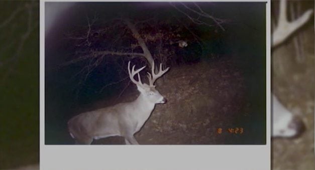 Buck from the Past Makes for a Sweet Surprise