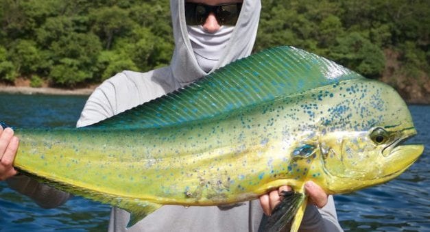 Costa Rica Offshore Kayak Fishing Like You’ve Never Seen Before