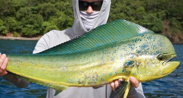 Costa Rica Offshore Kayak Fishing Like You’ve Never Seen Before