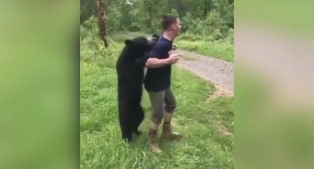 Does Watching This Bear Cub Mingle With Campers Make You Nervous?