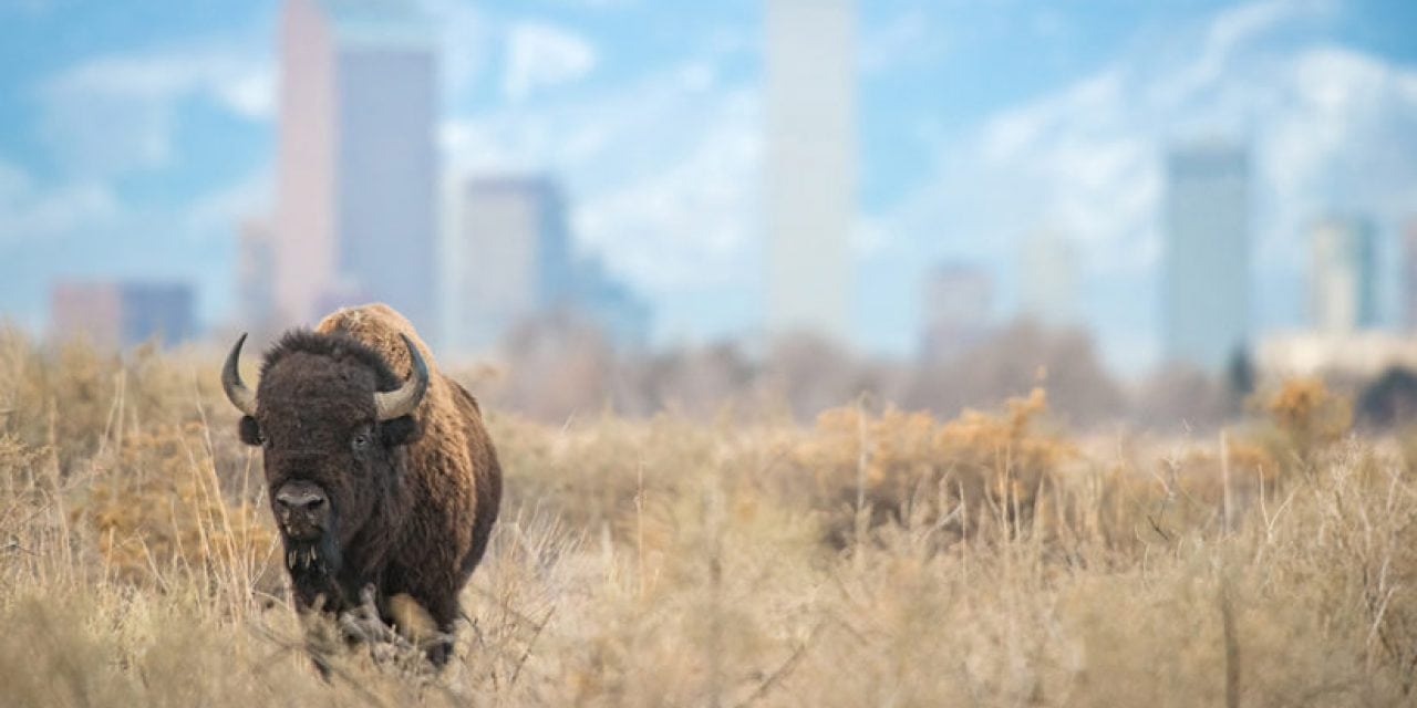 Exploring Our National Wildlife Refuge System