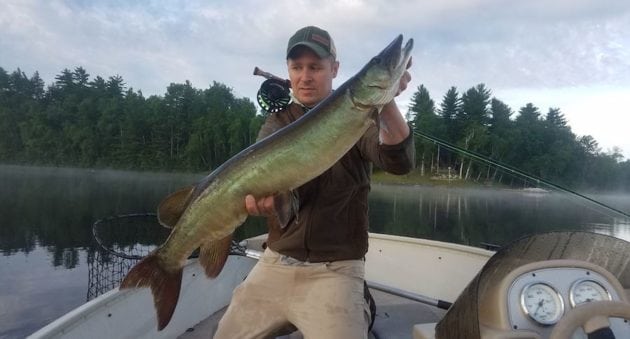Fly Fishing Muskies: It’s Not for the Meek