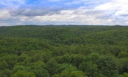 For $1.7 Million, You Could’ve Had an Abandoned Ohio Girl Scout Camp as a Hunter’s Paradise