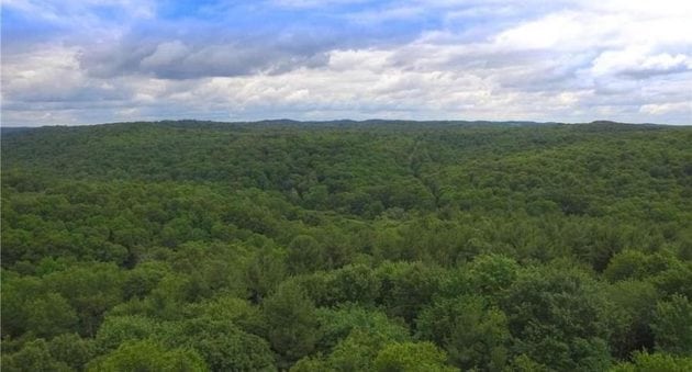 For $1.7 Million, You Could’ve Had an Abandoned Ohio Girl Scout Camp as a Hunter’s Paradise