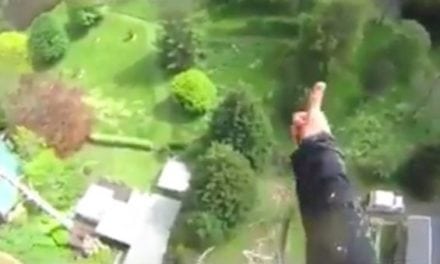 Guy Expertly Fells a Tree Between Neighboring Houses From 100+ Feet in the Air