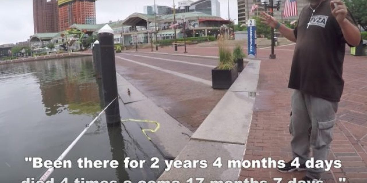 Guy Fishes Baltimore’s Inner Harbor and Attracts More Than Just Fish