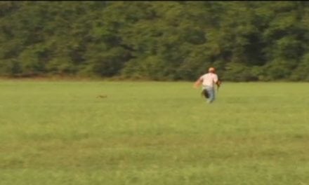 Have You Ever Seen a Coyote Struck Down by a Man on Foot?