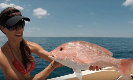 Hooking Huge Red Snapper in Florida Like a Boss