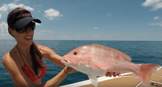 Hooking Huge Red Snapper in Florida Like a Boss