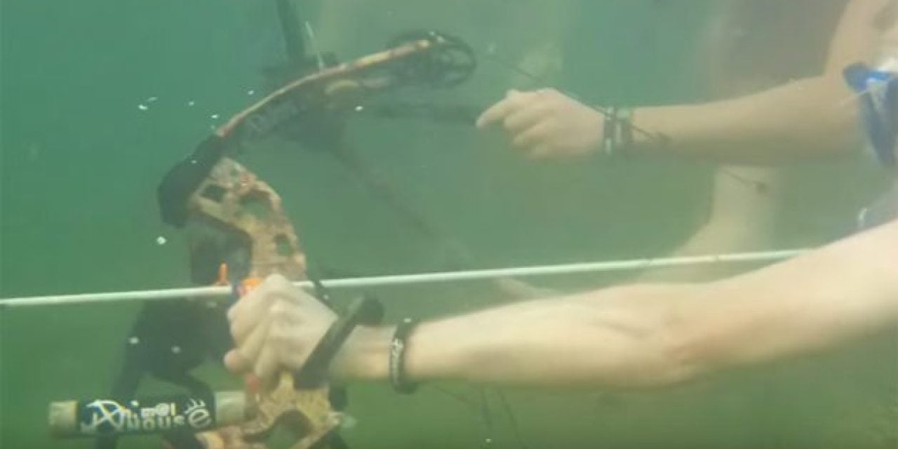 Introducing… Underwater Bowfishing!