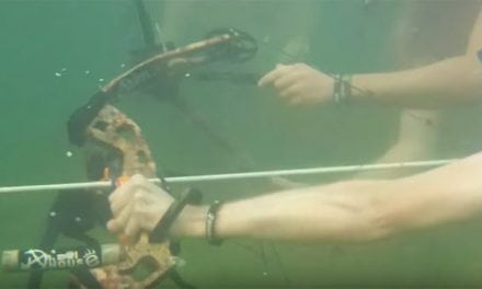 Introducing… Underwater Bowfishing!