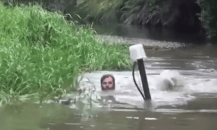 Is This Guy Riding a Submarine to the Duck Blind?