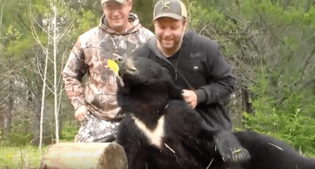 It Was an Amazing Black Bear Hunt in Canada for This Archer