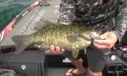 KVD Hauls in a Giant 6.5lb Smallie on Film, Takes St. Lawrence River Title
