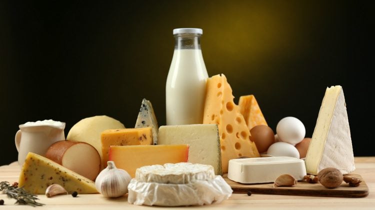 Lactose Survival – How To Do Dairy All By Yourself