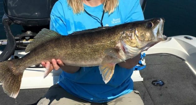Minnesota DNR Extends Walleye Fishing Ban on Mille Lacs for Two More Weeks