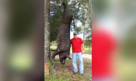 Monster Hog Taken From Man’s Front Porch in Alabama