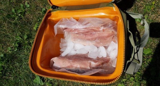 Now That You’ve Killed a Turkey, Here’s a Great Way to Fly it Home
