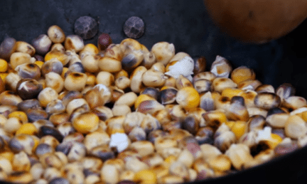 Parched Corn: 18th Century Survival Superfood That You Can Carry With You Into the Wild