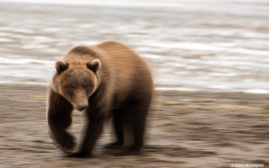 Photo Of The Day By Dana Warnquist