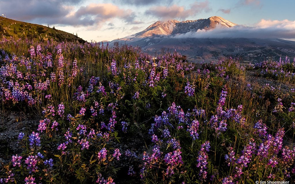 Photo Of The Day By Jim Shoemaker