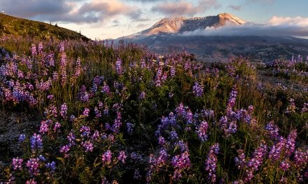 Photo Of The Day By Jim Shoemaker