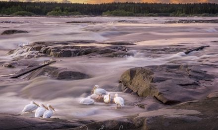 Photo Of The Day By Pierre-Emmanuel Chaillon