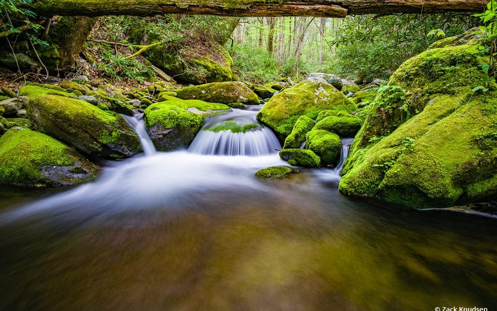 Photo Of The Day By Zack Knudsen