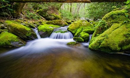 Photo Of The Day By Zack Knudsen