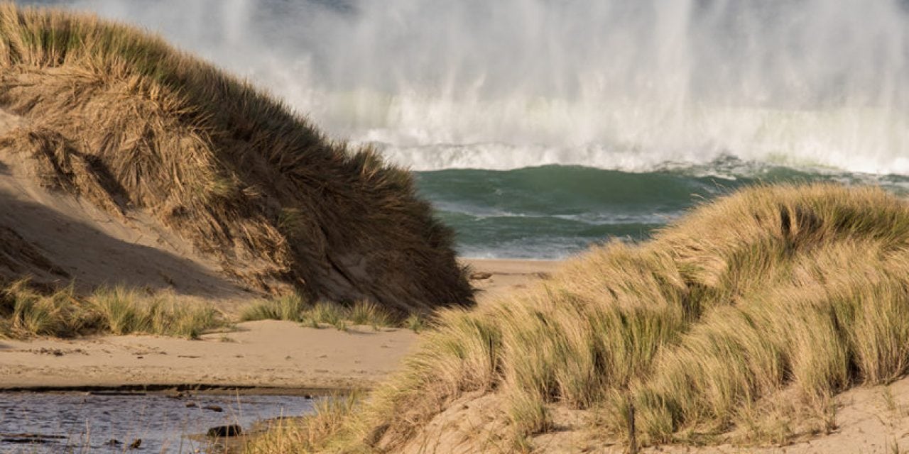 Point Reyes National Seashore