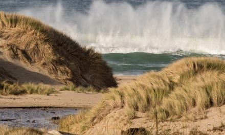 Point Reyes National Seashore