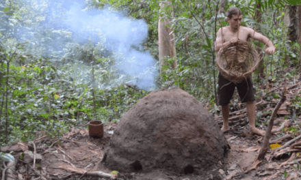 Primitive Technology: He Made a Reusable Charcoal Kiln from Mud