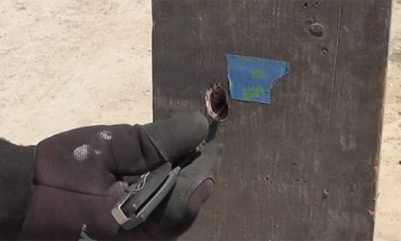 See What This French Fragmentation Slug Does When Blasted Out of a Shotgun