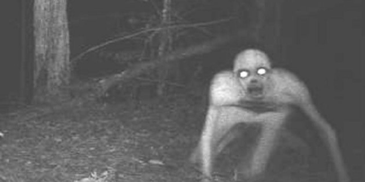 The 9 Scariest Game Camera Pictures of All Time