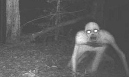 The 9 Scariest Game Camera Pictures of All Time