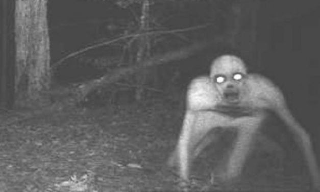 The 9 Scariest Game Camera Pictures of All Time